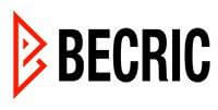 Becric Aviator Crash Game