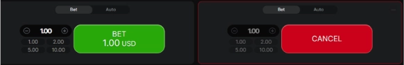 Set a bet in Aviator original game